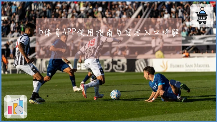 b体育APP使用指南与官方入口详解