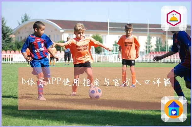 b体育APP使用指南与官方入口详解