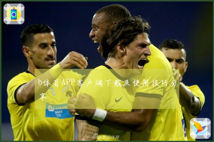 b体育APP客户端下载及使用技巧分享