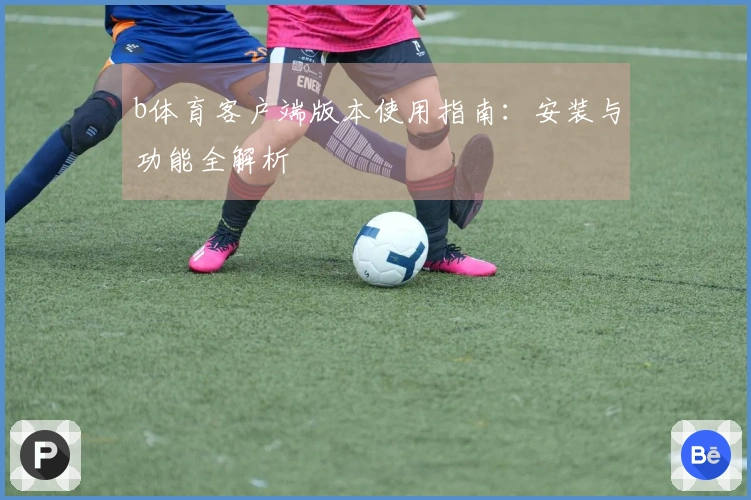 b体育客户端版本使用指南：安装与功能全解析
