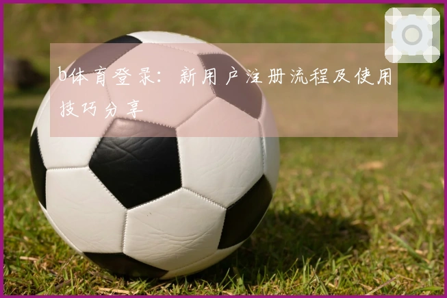 b体育登录：新用户注册流程及使用技巧分享