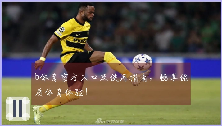 b体育官方入口及使用指南，畅享优质体育体验！