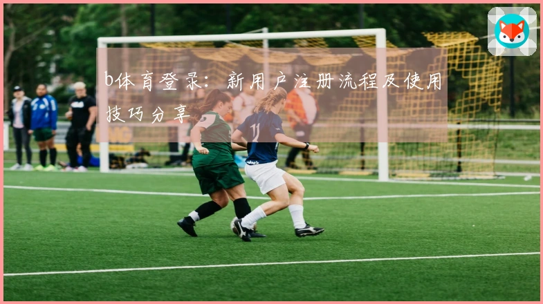 b体育登录：新用户注册流程及使用技巧分享